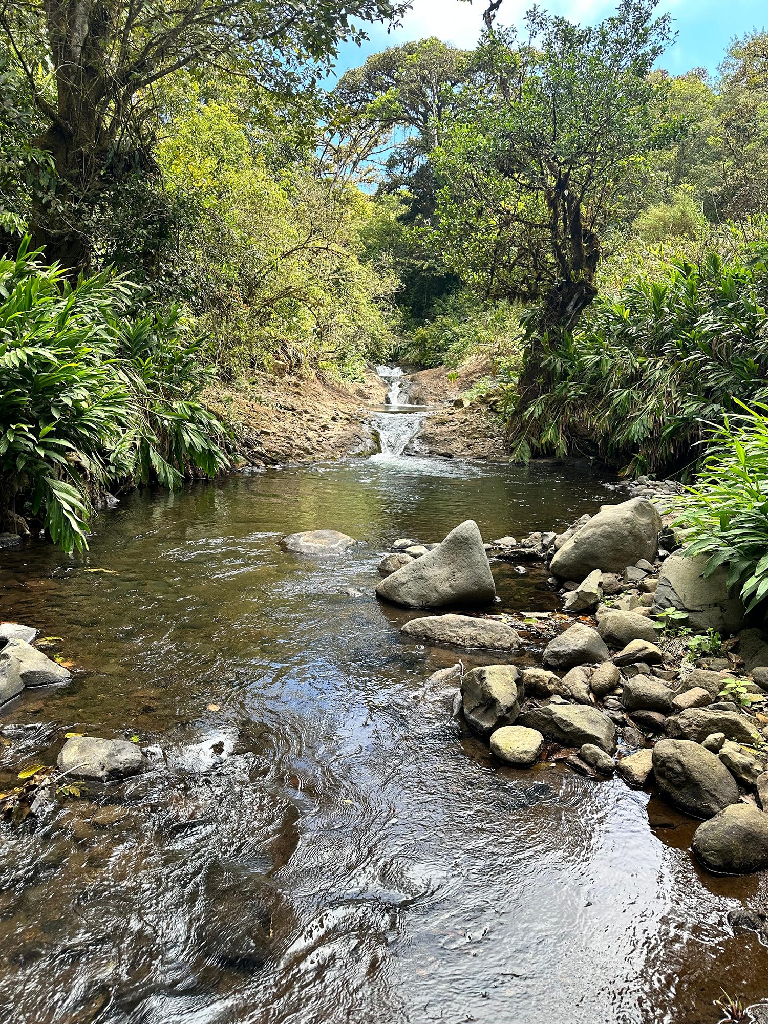 River Trail